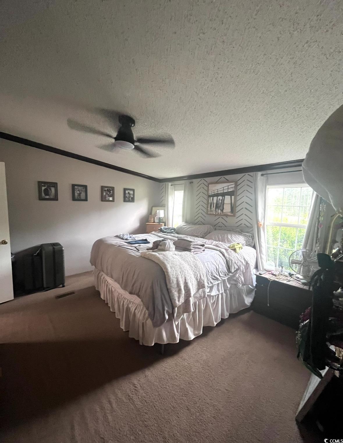 7096 Johnson Shortcut Road Conway, SC 29527 - Photo 10 of 16 Bedroom with carpet flooring, multiple windows, a textured ceiling, a ceiling fan, and crown molding