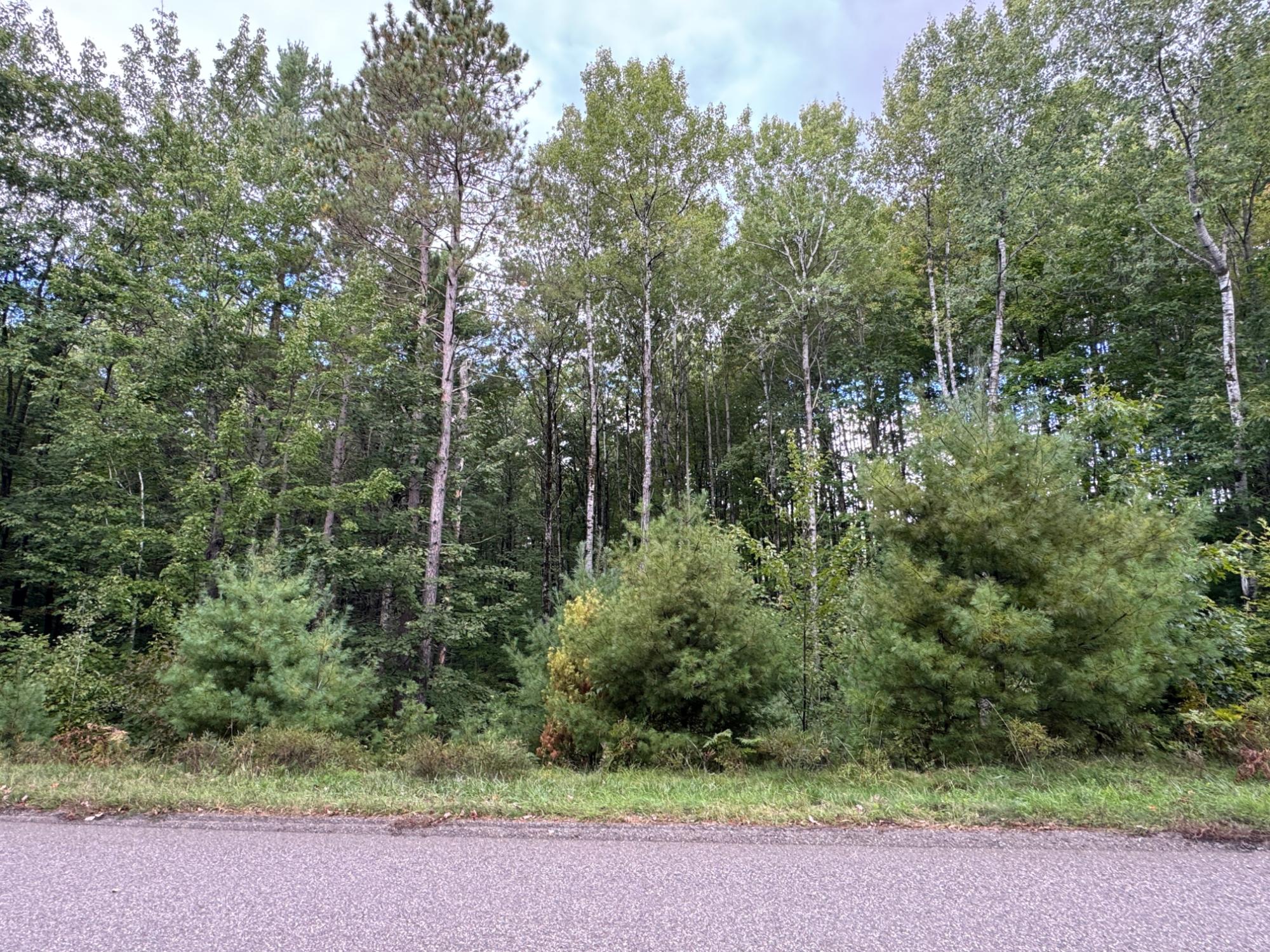 Lot #5 Sutton Road Minocqua, WI 54548 - Photo 9 of 15 Gallery Image 9