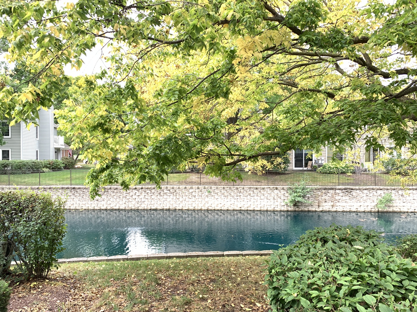 2008 North Silver Lake Road Arlington Heights, IL 60004 - Photo 16 of 17 a view of a yard with a tree