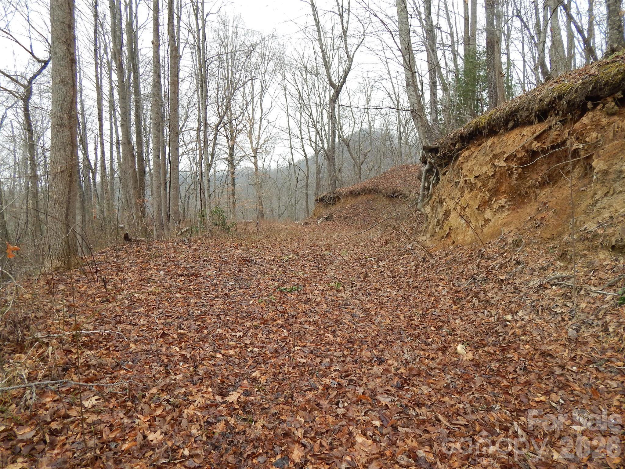 0 Henry Road Sylva, NC 28779 - Photo 8 of 25 Gallery Image 8