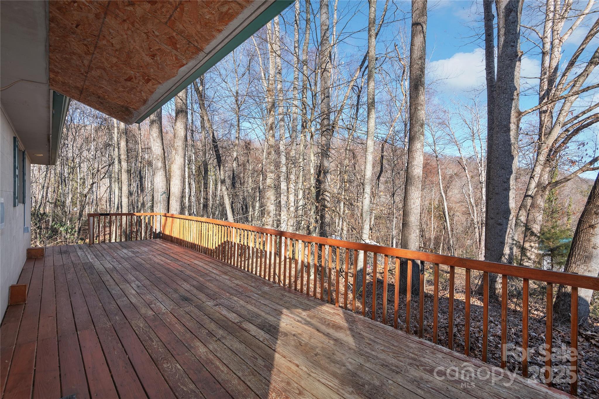 36 Rocky Cove Road Candler, NC 28715 - Photo 13 of 17 Gallery Image 13
