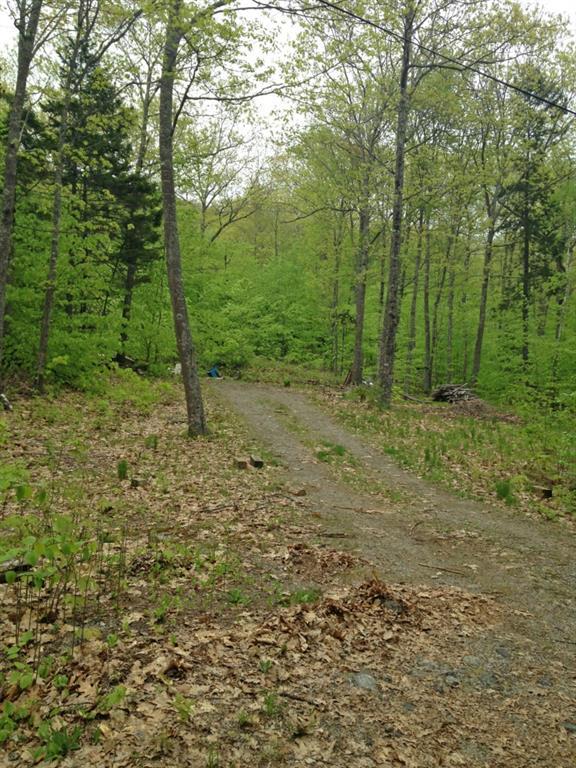 0 Orpine Road Dedham, ME 04429 - Photo 2 of 3 Photo