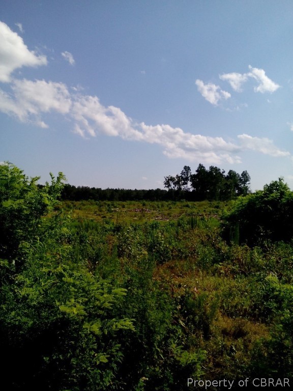 614 Poplar Grove Road Center Cross, VA 22437 - Photo 12 of 19