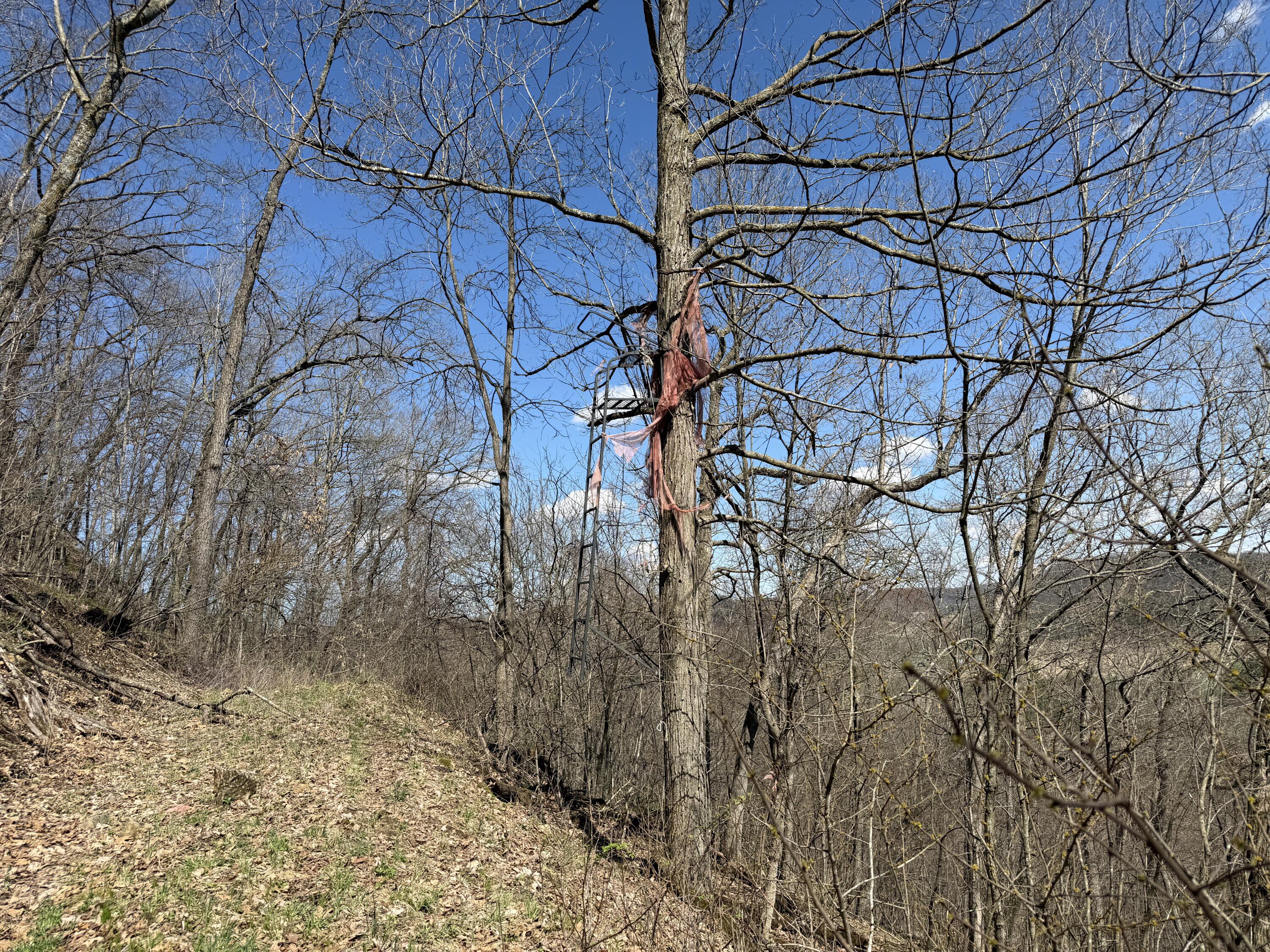 E11695 Chadwick Hollow Road Liberty, WI 54664 - Photo 31 of 56 Hunting Stand