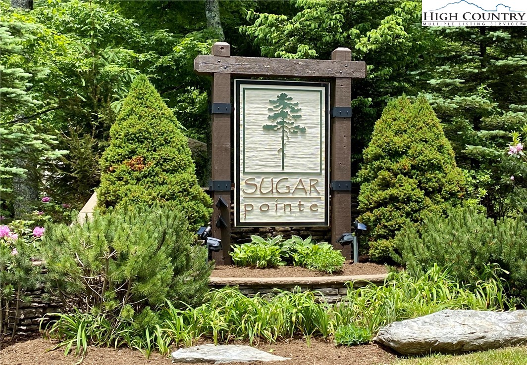 Green Cliffs Sugar Mountain, NC 28604 - Photo 2 of 15