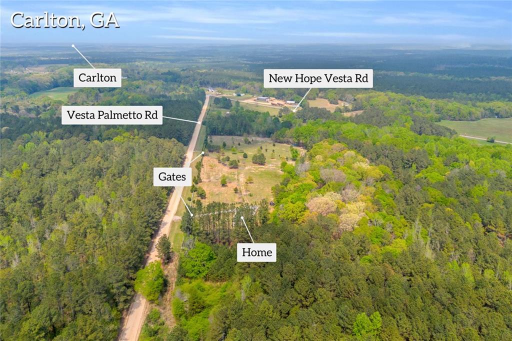 77 Vesta Palmetto Road Carlton, GA 30627 - Photo 16 of 78