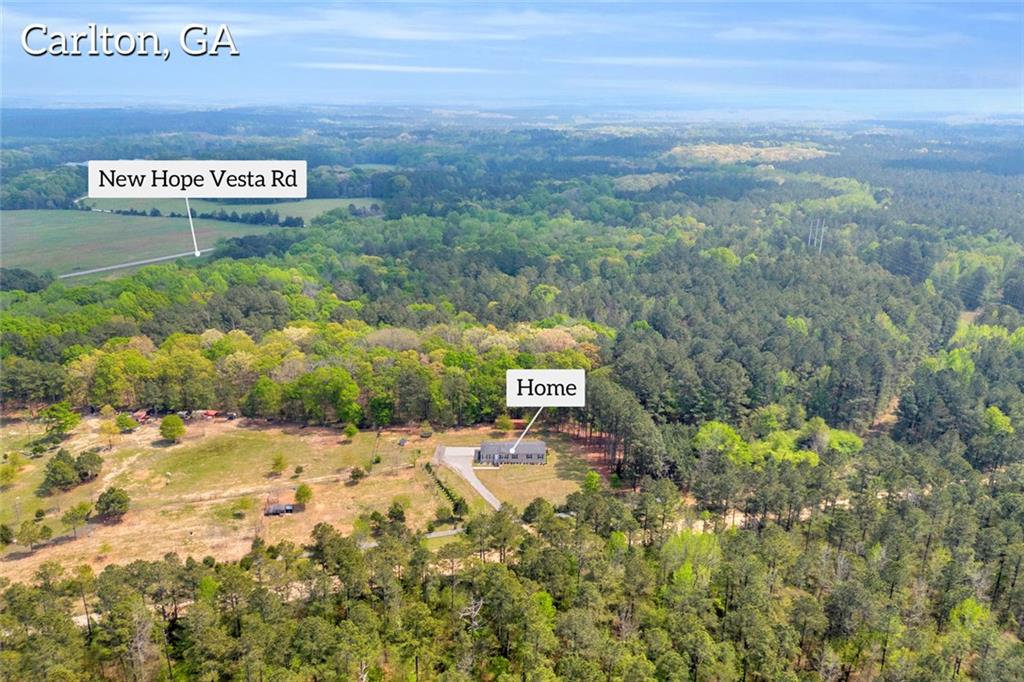77 Vesta Palmetto Road Carlton, GA 30627 - Photo 20 of 78