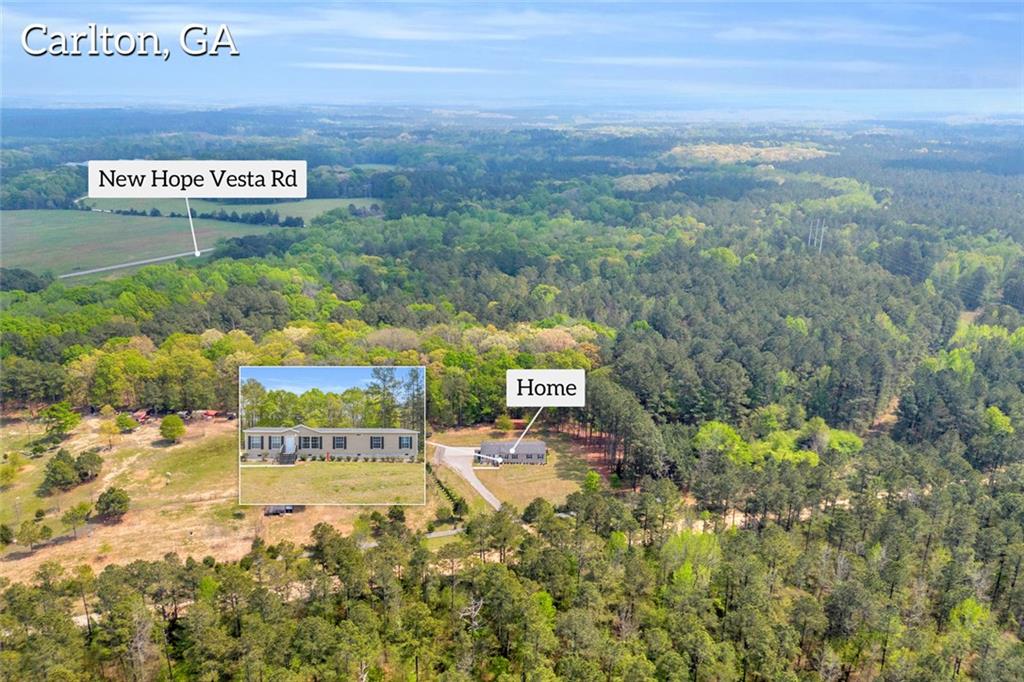 77 Vesta Palmetto Road Carlton, GA 30627 - Photo 21 of 78