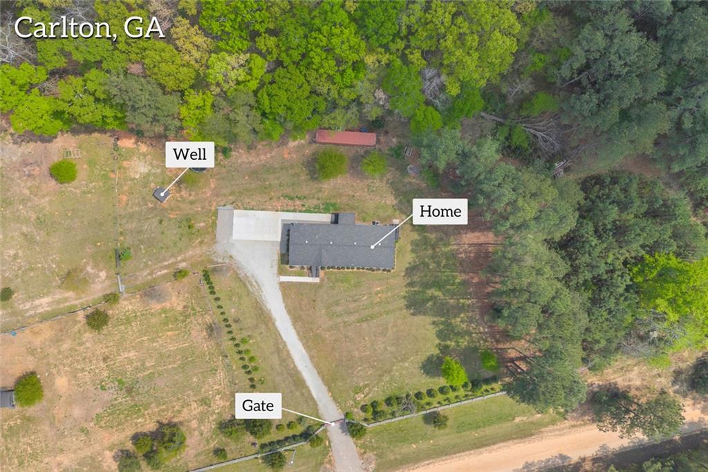 77 Vesta Palmetto Road Carlton, GA 30627 - Photo 42 of 78