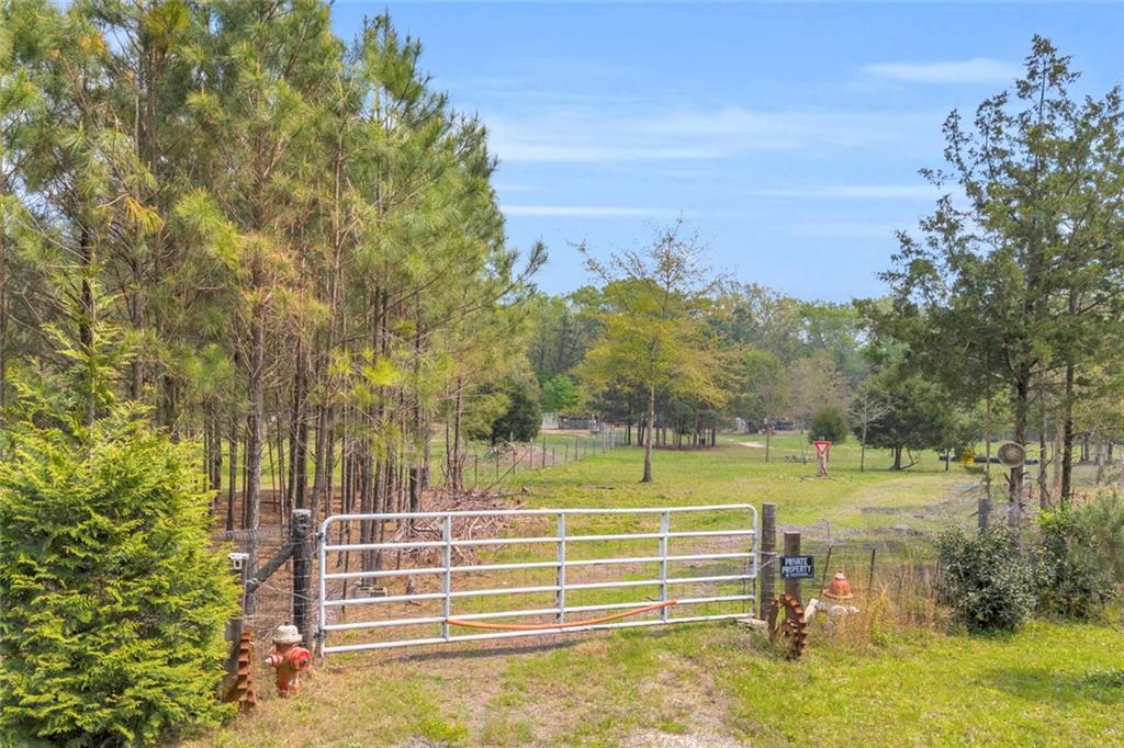 77 Vesta Palmetto Road Carlton, GA 30627 - Photo 47 of 78