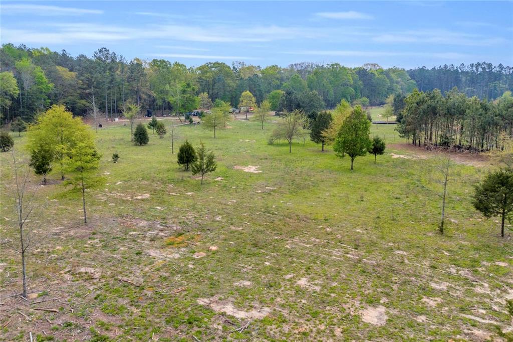 77 Vesta Palmetto Road Carlton, GA 30627 - Photo 71 of 78