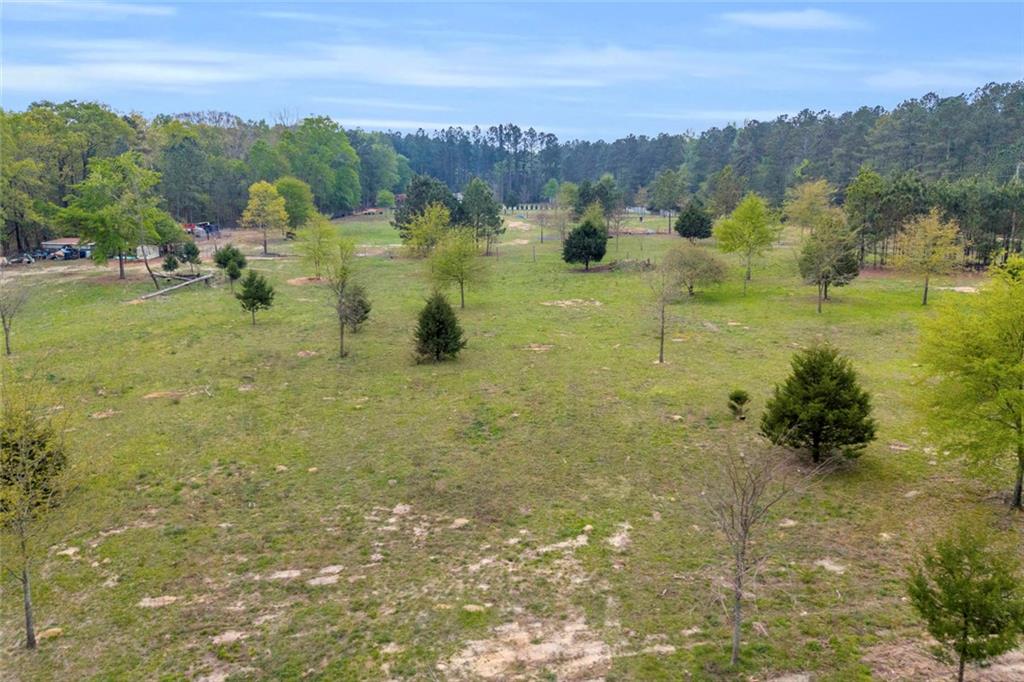 77 Vesta Palmetto Road Carlton, GA 30627 - Photo 72 of 78