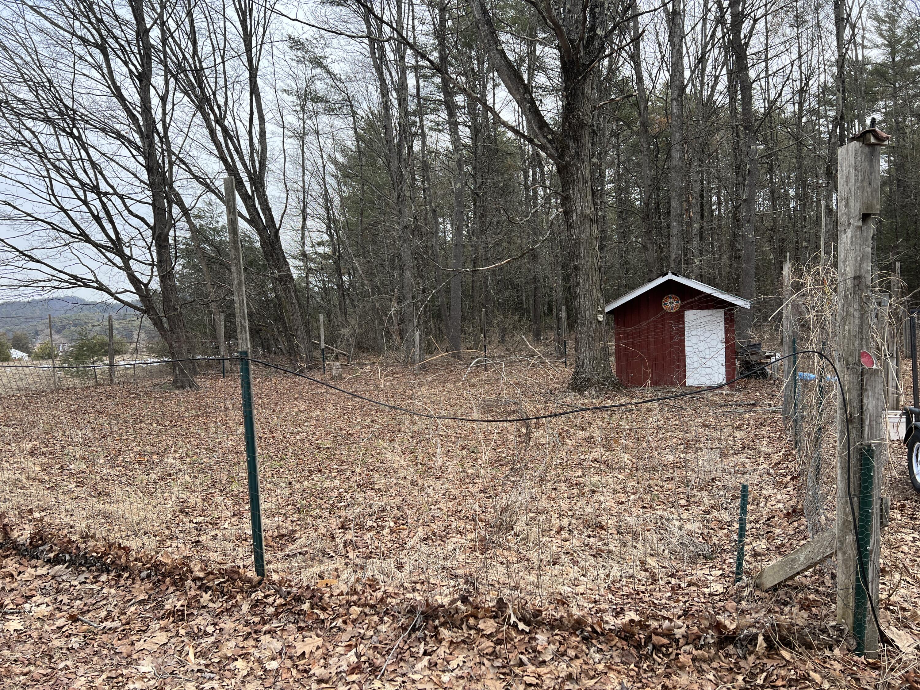776 Brainards Forge Road Lewis, NY 12993 - Photo 2 of 21