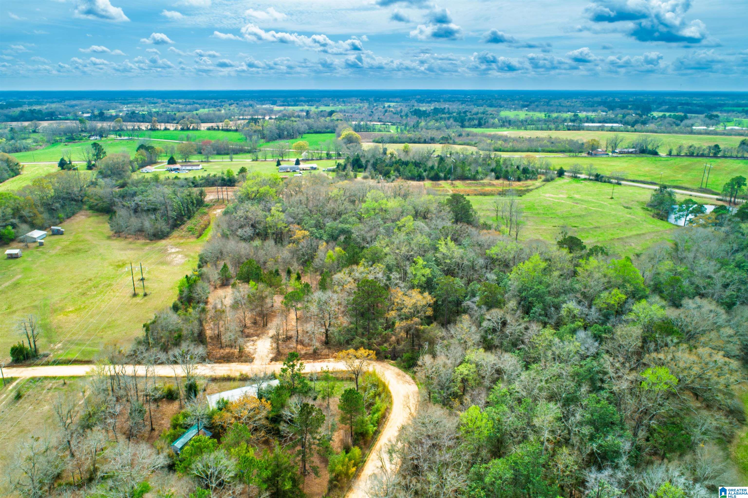 27180 Deer Run Road Opp, AL 36467 - Photo 15 of 60