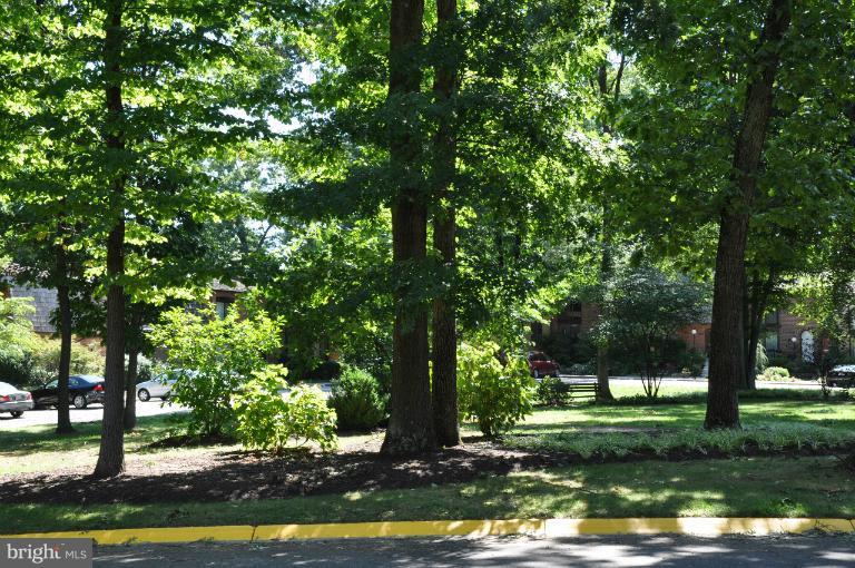 7923 Inverness Ridge Road Potomac, MD 20854 - Photo 16 of 17 View