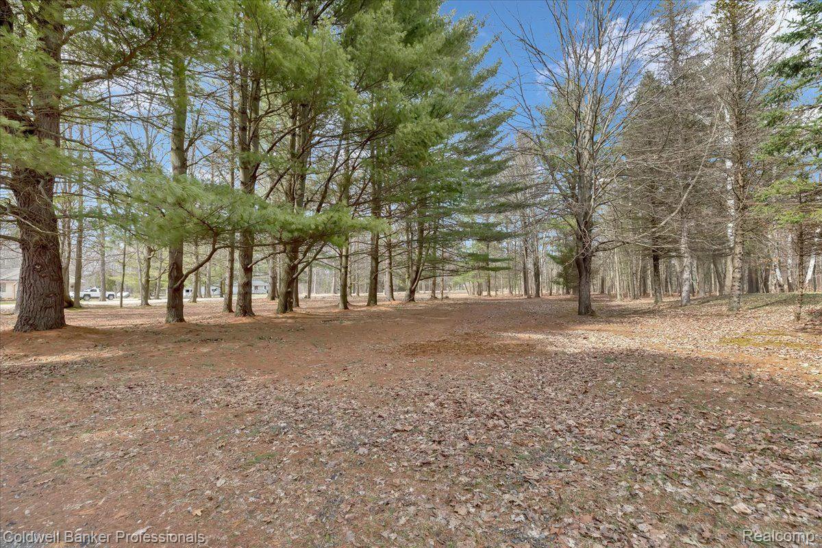 5128 Lonsberry Road Columbiaville, MI 48421 - Photo 29 of 47 Mature Pines