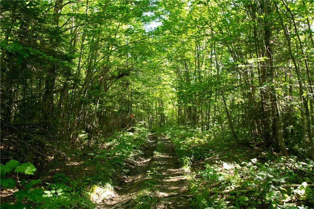 Lot 3.31 Elm Pond Road Greenville, ME 04441 - Photo 5 of 34 Photo