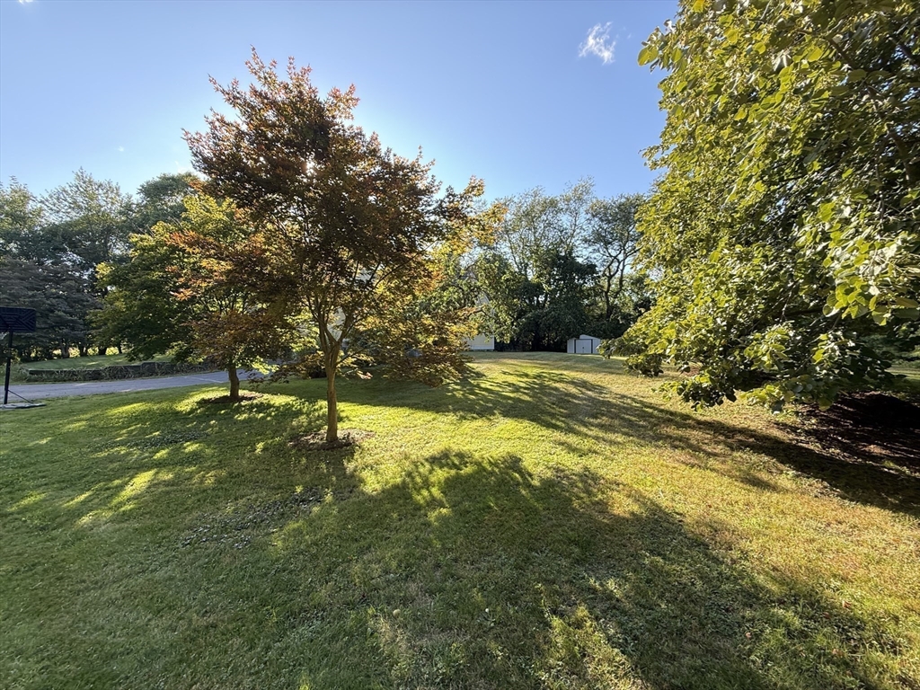291 Harvard Road Bolton, MA 01740 - Photo 35 of 40 a view of a yard with swimming pool