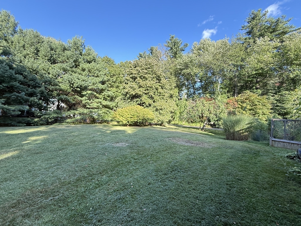 291 Harvard Road Bolton, MA 01740 - Photo 6 of 40 a view of outdoor space and yard
