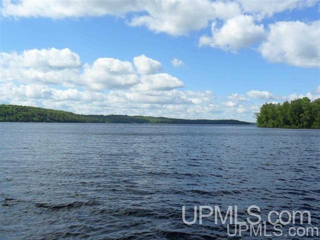 Tbd Tbd Brown Road Michigamme, MI 49861 - Photo 6 of 22
