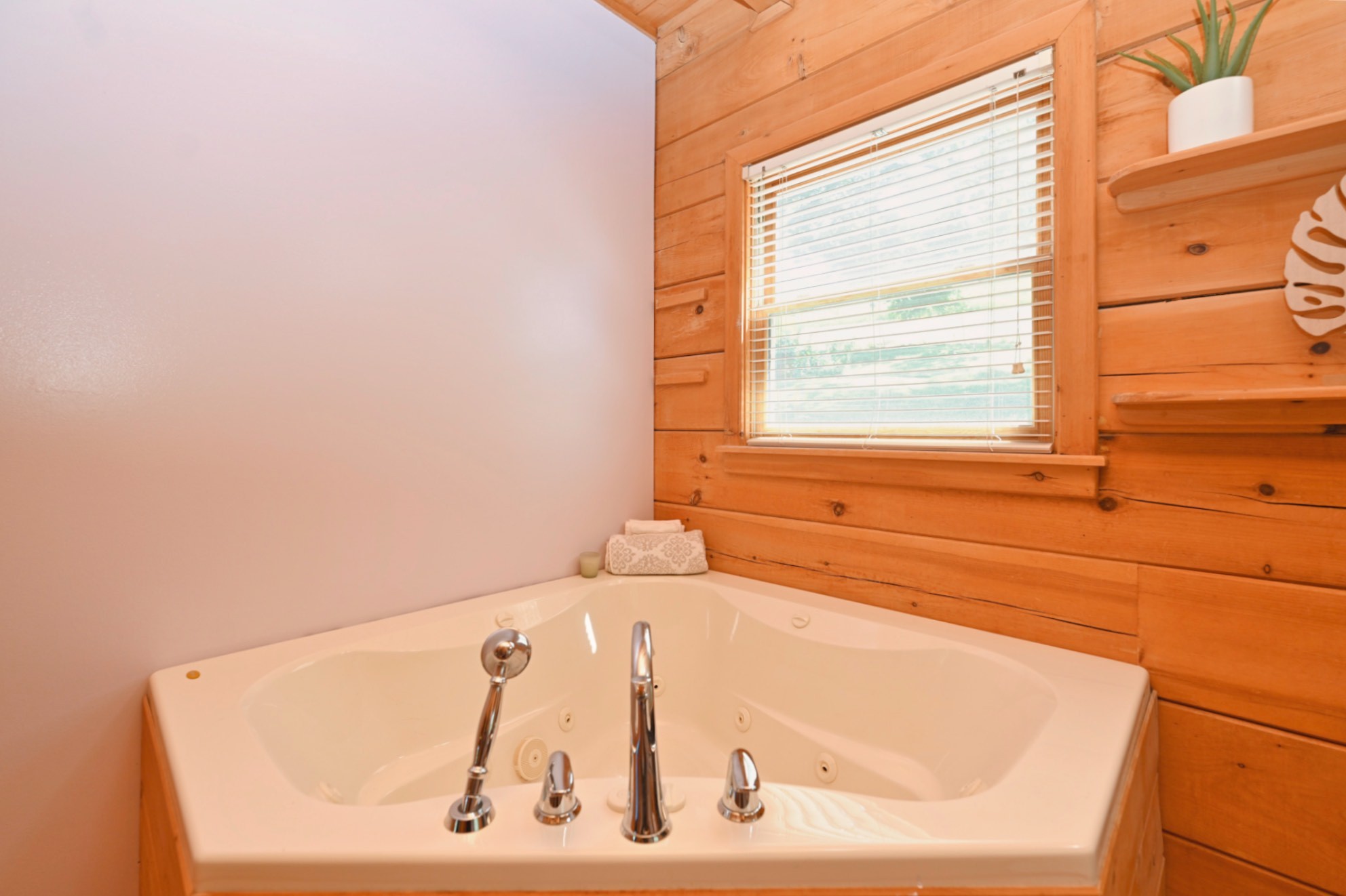 28 Edd Hackett Road Carthage, TN 37030 - Photo 37 of 64 Gallery Image 37