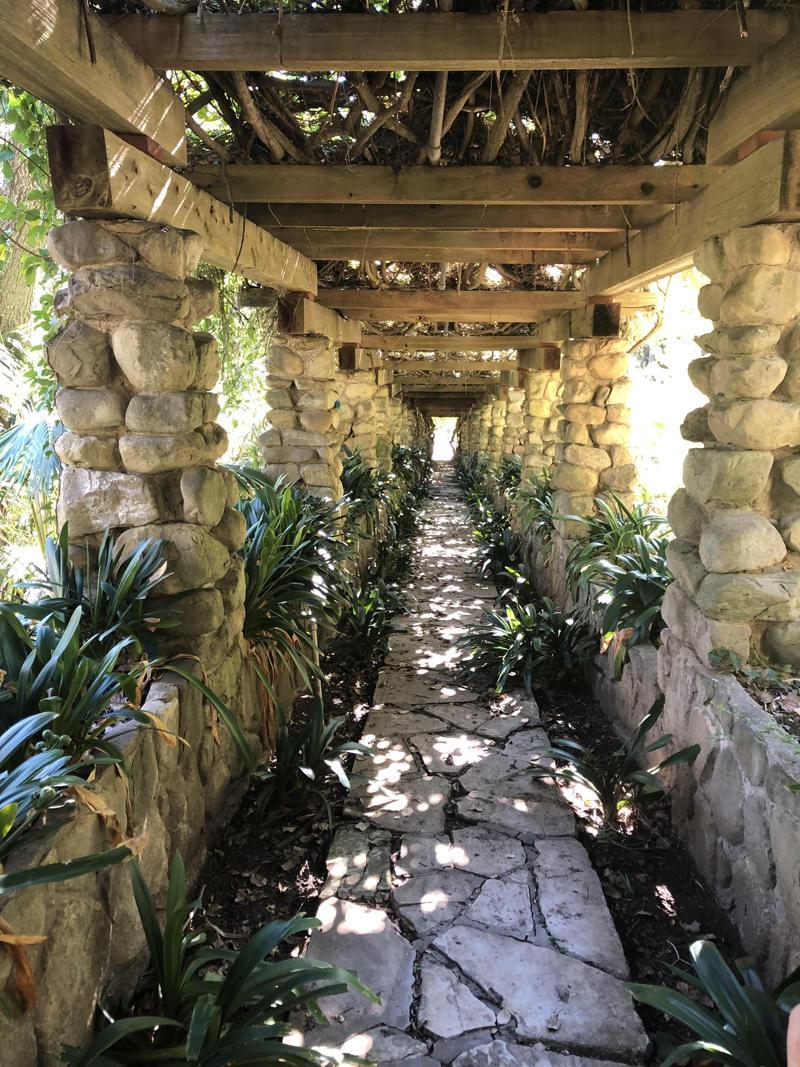 800 Cold Spring Road Santa Barbara, CA 93108 - Photo 13 of 23 a close up of a tree