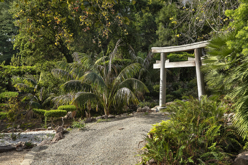800 Cold Spring Road Santa Barbara, CA 93108 - Photo 14 of 23 a view of an outdoor space with plants