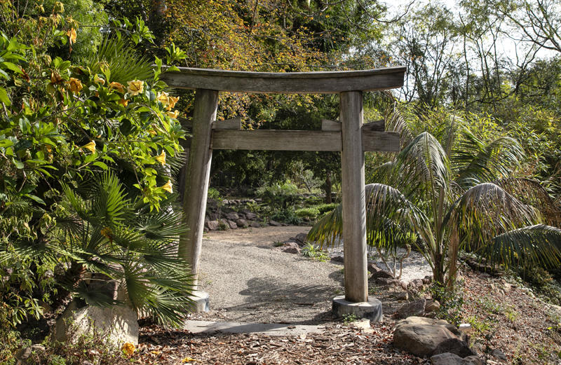 800 Cold Spring Road Santa Barbara, CA 93108 - Photo 15 of 23 a view of a porch with furniture and floor to ceiling window