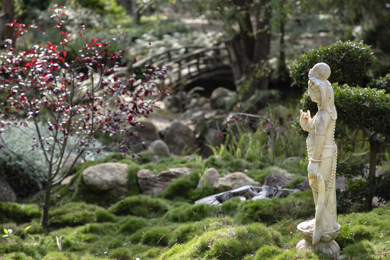 800 Cold Spring Road Santa Barbara, CA 93108 - Photo 16 of 23 a view of a tree in a garden