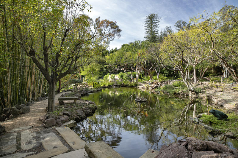 800 Cold Spring Road Santa Barbara, CA 93108 - Photo 21 of 23 a view of a garden with plants
