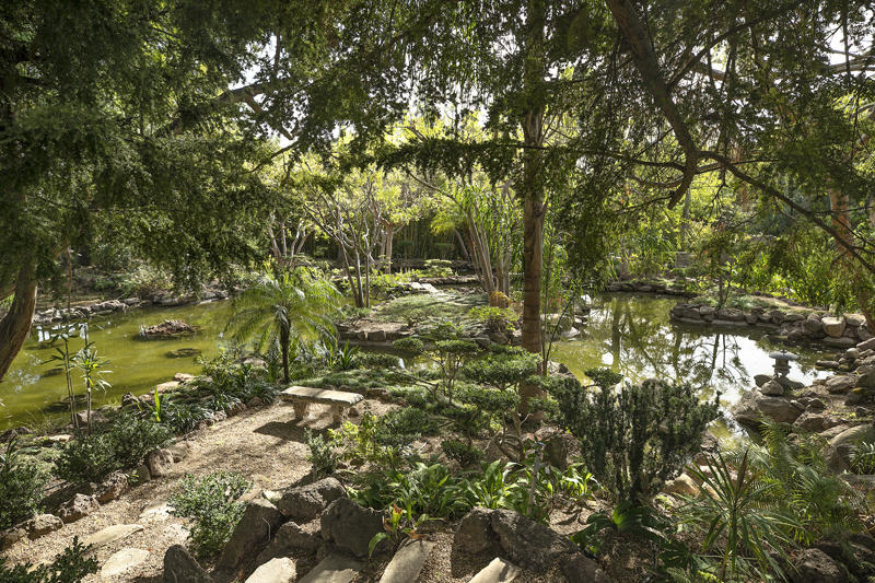 800 Cold Spring Road Santa Barbara, CA 93108 - Photo 22 of 23 a view of a tree with a tree