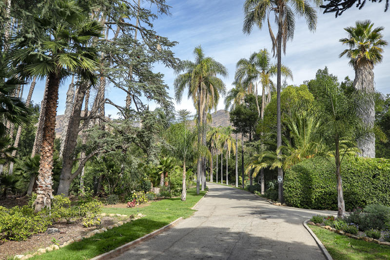 800 Cold Spring Road Santa Barbara, CA 93108 - Photo 4 of 23 a view of a backyard