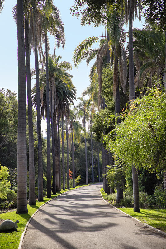 800 Cold Spring Road Santa Barbara, CA 93108 - Photo 5 of 23 a view of a park with palm trees