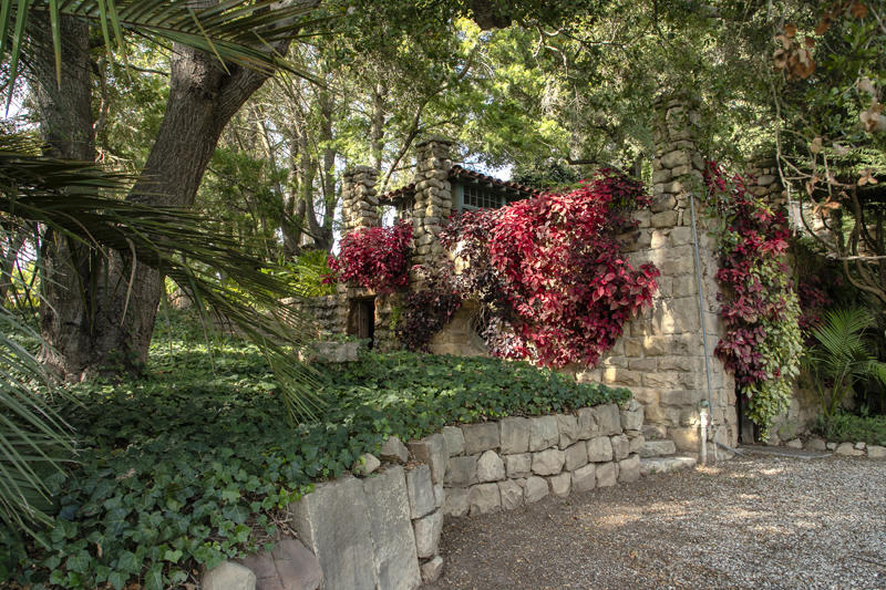 800 Cold Spring Road Santa Barbara, CA 93108 - Photo 10 of 23 a picture of flowers