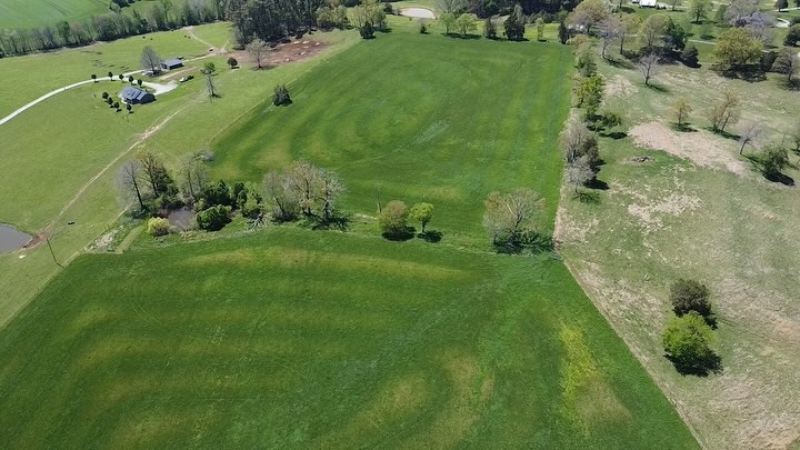 5210 Ditty Road Cookeville, TN 38506 - Photo 4 of 17 a view of a green yard