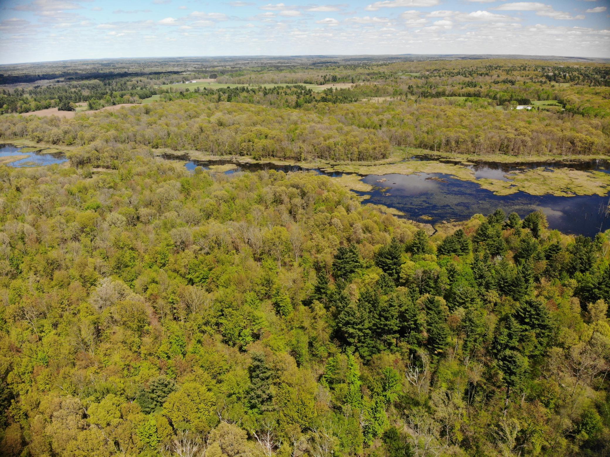 Xxx Xxx Herrick Road Frederic, WI 54837 - Photo 18 of 21