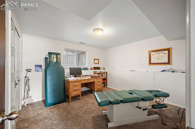 a living room with furniture rug and a window