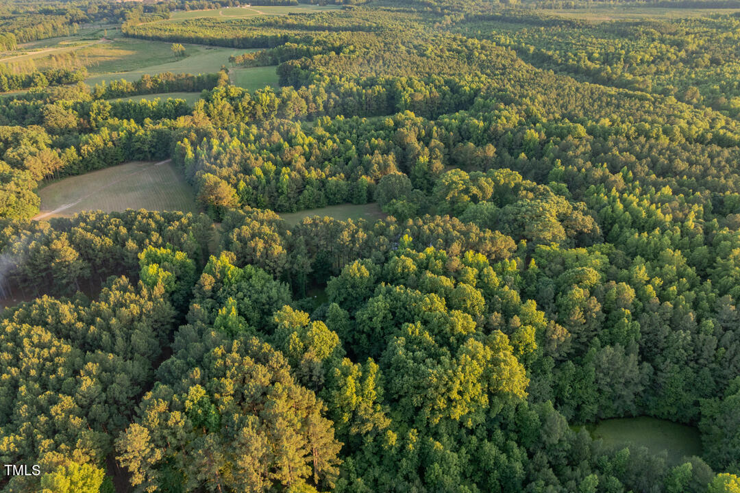 522 Vaiden Road Louisburg, NC 27549 - Photo 54 of 68 522-Vaiden-Rd-Drone-3