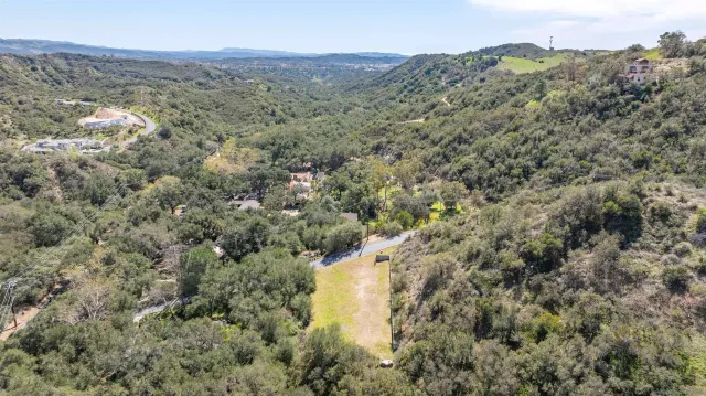 a view of a dry yard with lots of trees