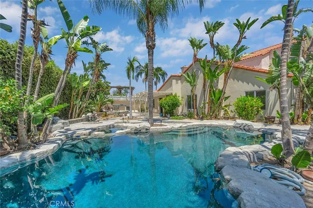 a view of a yard with plants