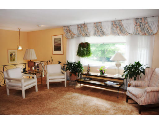 6 Ellen Road Marblehead, MA 01945 - Photo 4 of 8