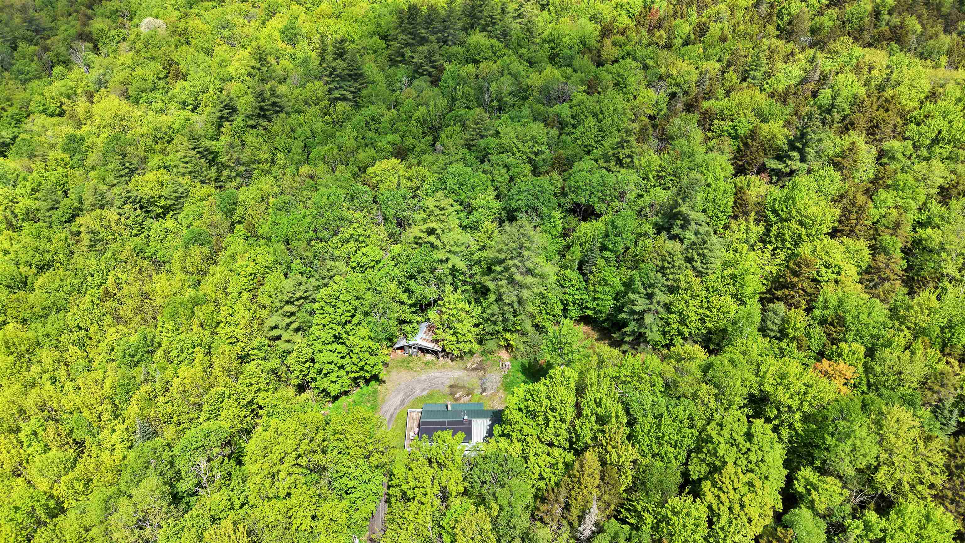 164 Molly Supple Hill Road Middlesex, VT 05602 - Photo 40 of 42