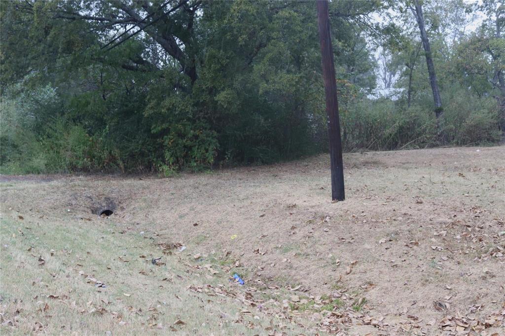 500 Main Street Quinlan, TX 75474 - Photo 3 of 5 a view of a forest with trees