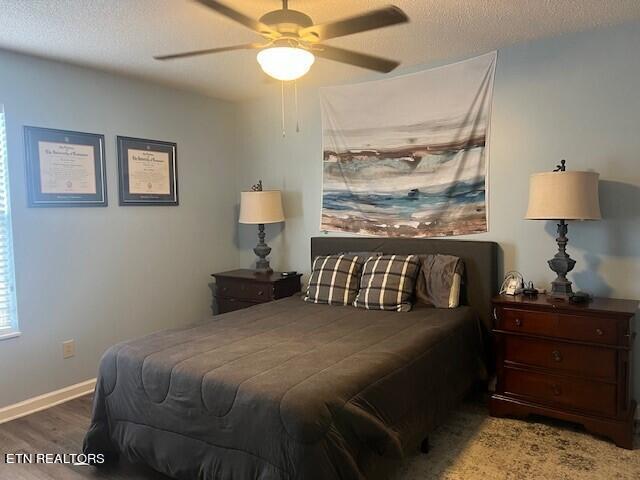8026 Intervale Way Powell, TN 37849 - Photo 8 of 20 cr5