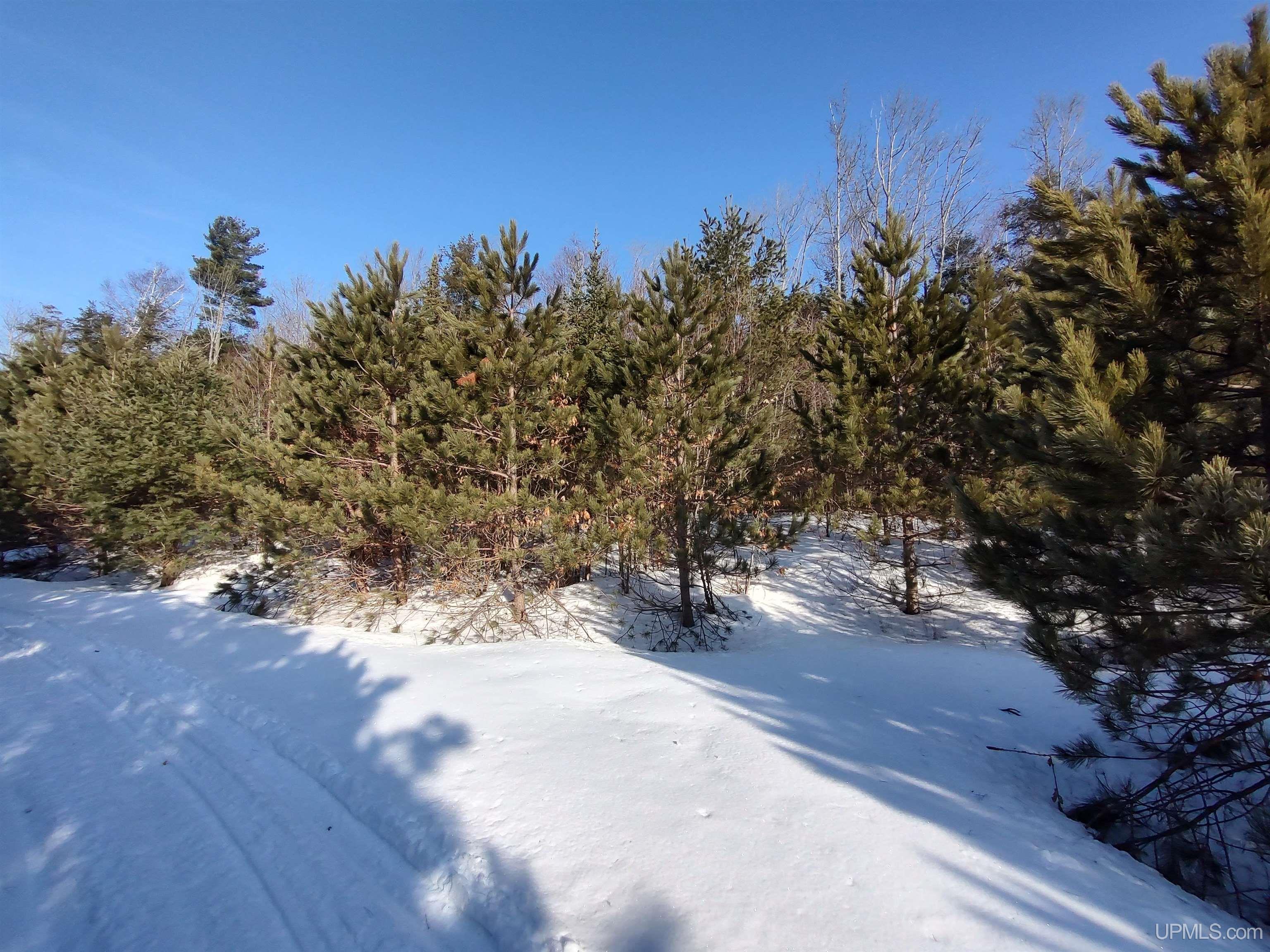 40-acres Gierke Road Manistique, MI 49854 - Photo 8 of 39