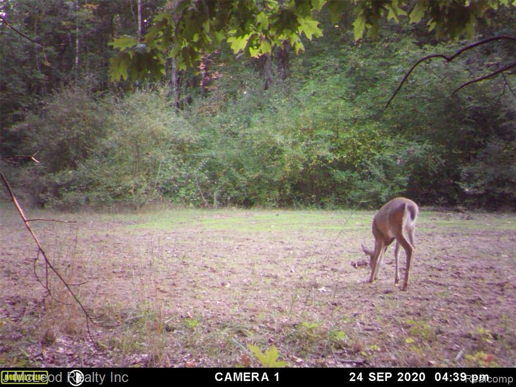 1805 Pierce Road Caro, MI 48723 - Photo 27 of 32