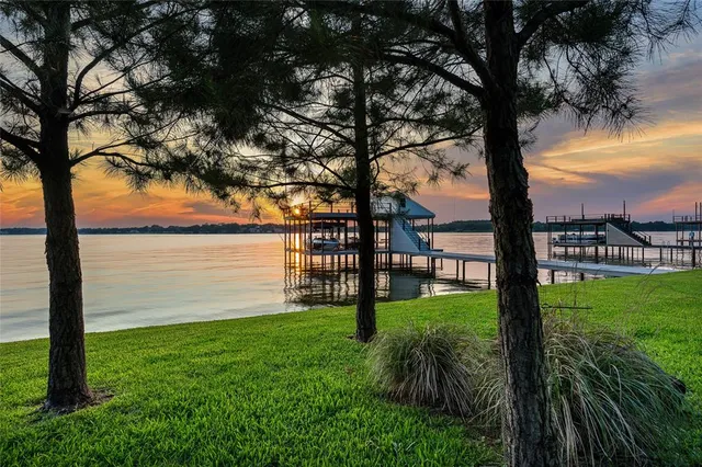 a view of a yard with a tree