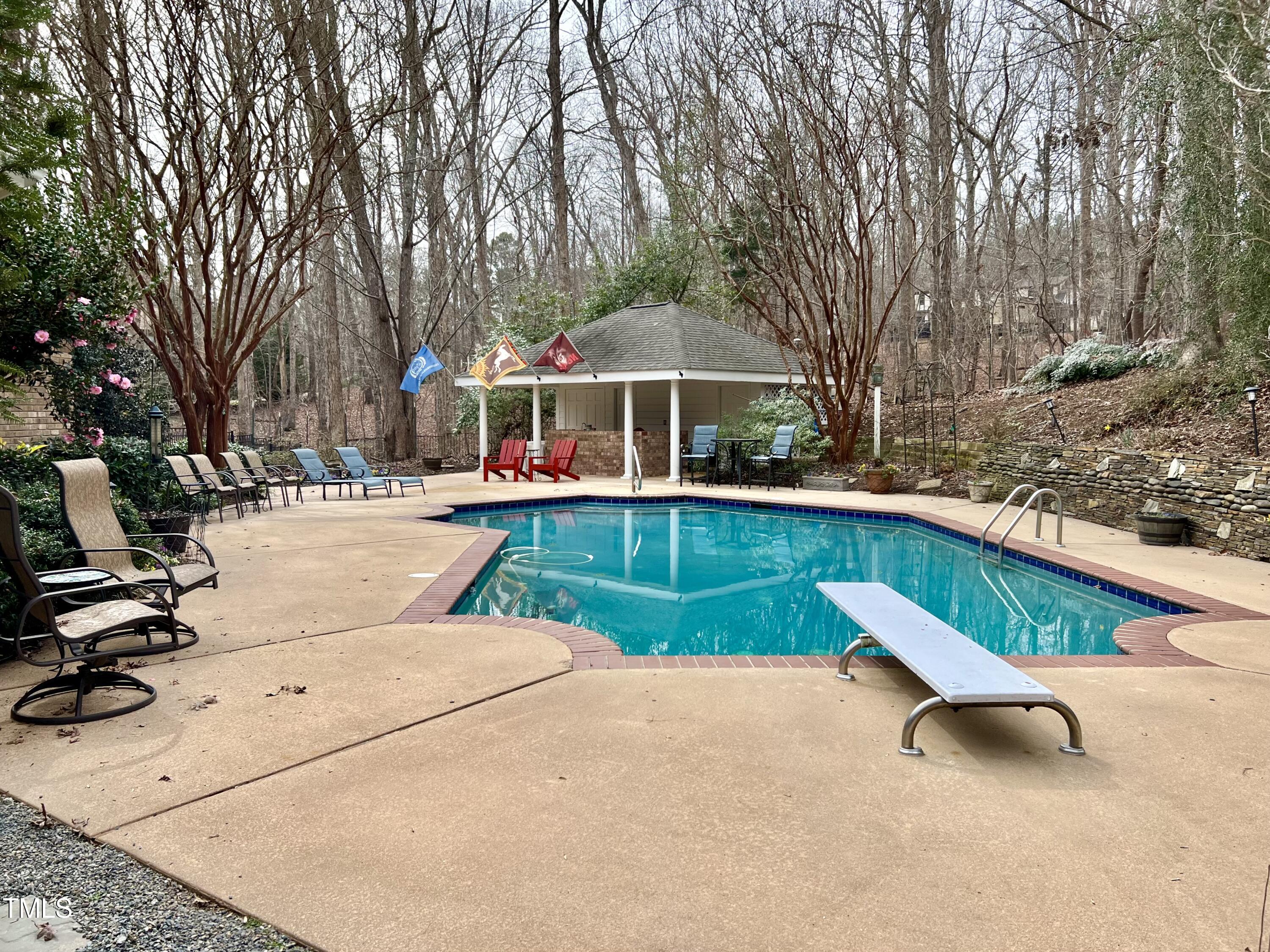 9924 Waterview Road Raleigh, NC 27615 - Photo 39 of 56 Salt water pool