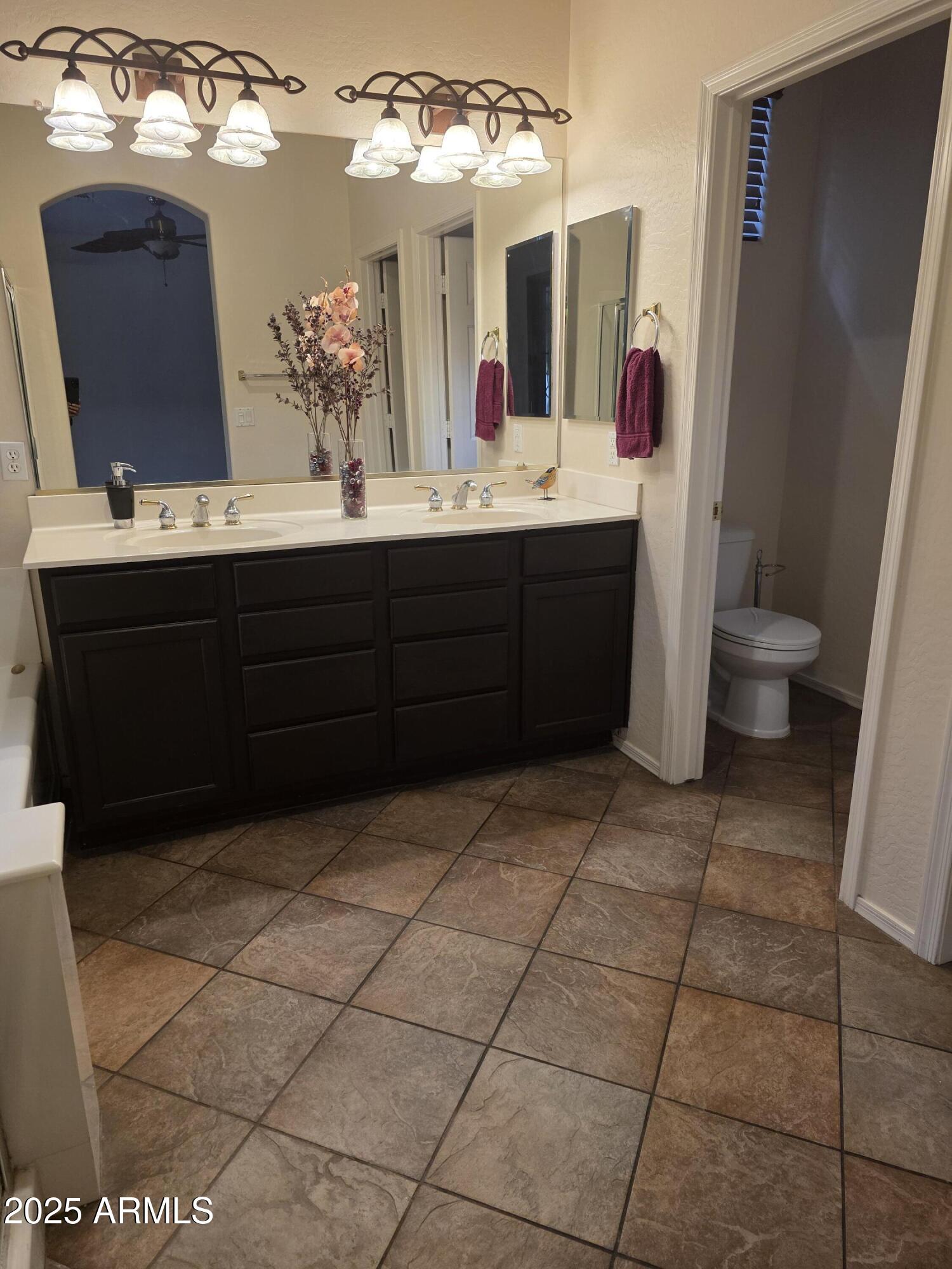 1162 East Springfield Place Chandler, AZ 85286 - Photo 14 of 27 a bathroom with a sink a mirror and vanity