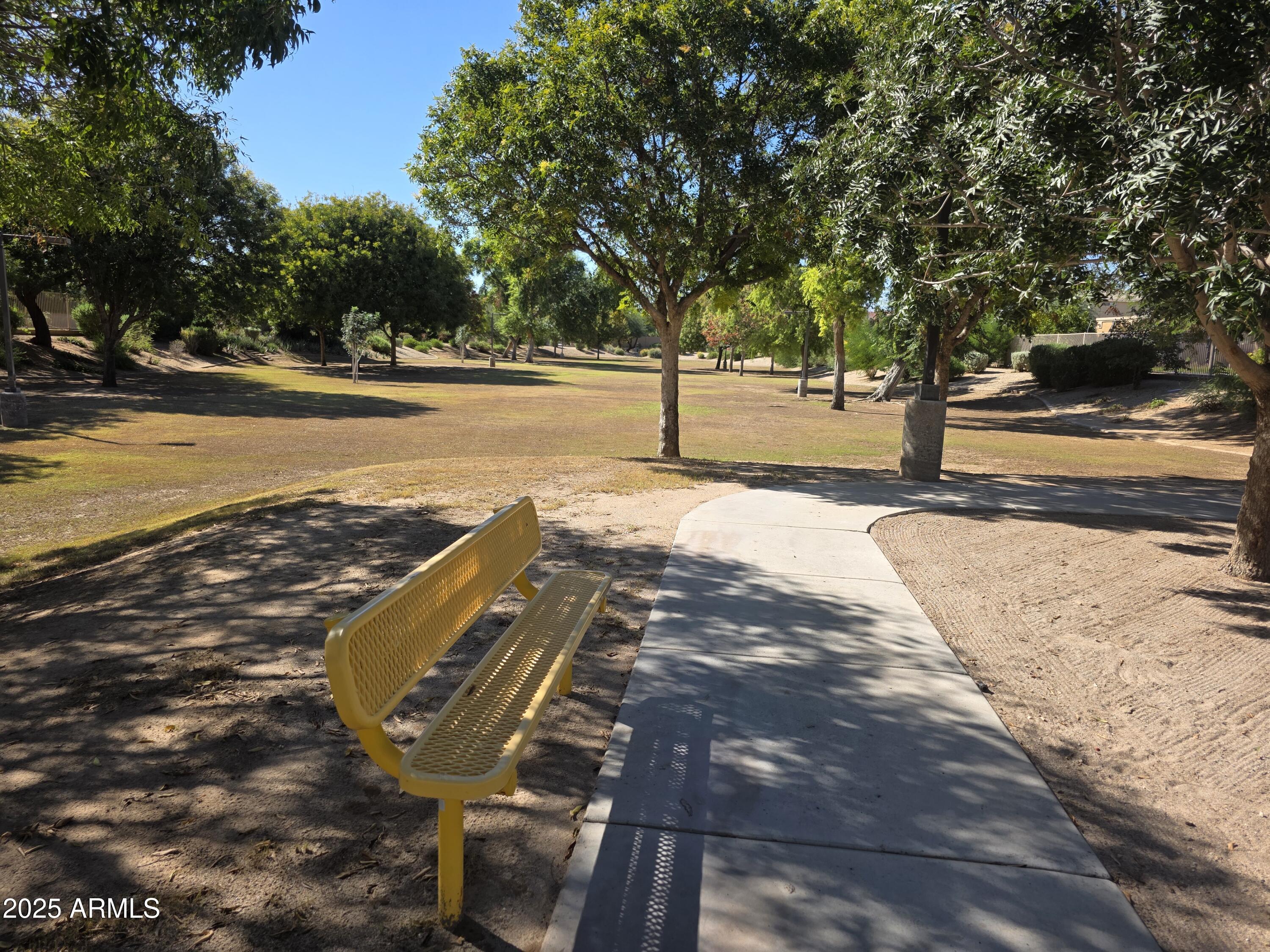 1162 East Springfield Place Chandler, AZ 85286 - Photo 23 of 27 a view of an outdoor space with trees